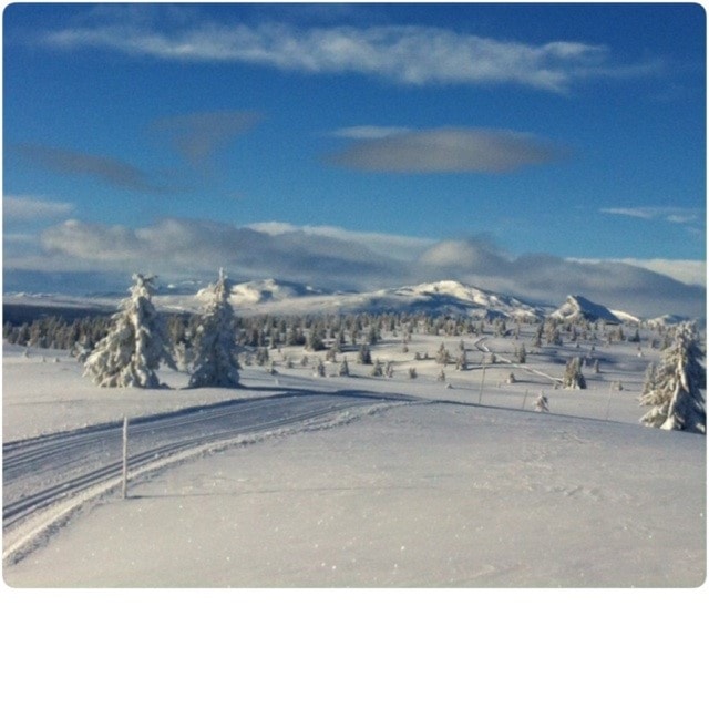 Ski tur på fjellet